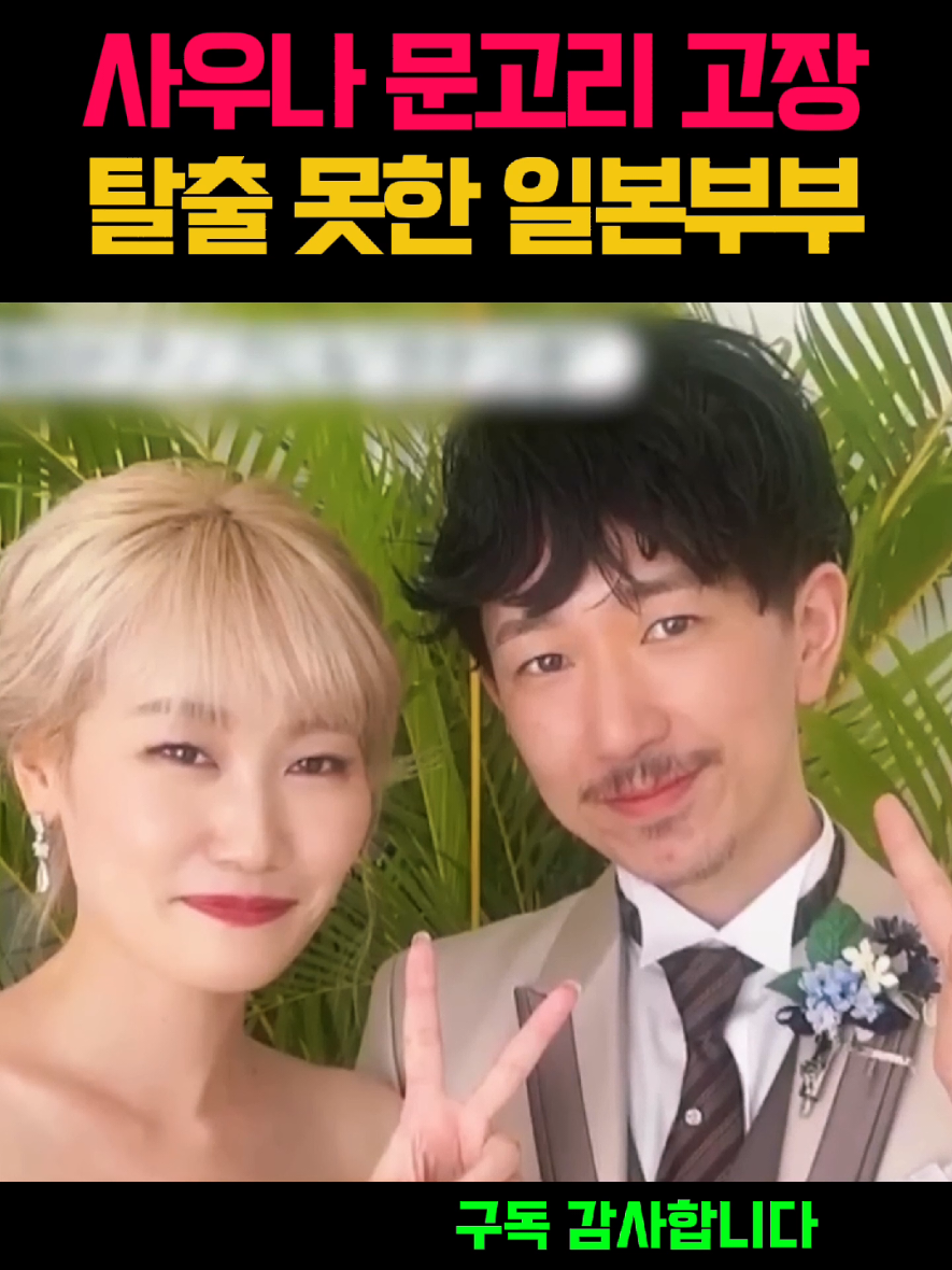 @뉴스한줄