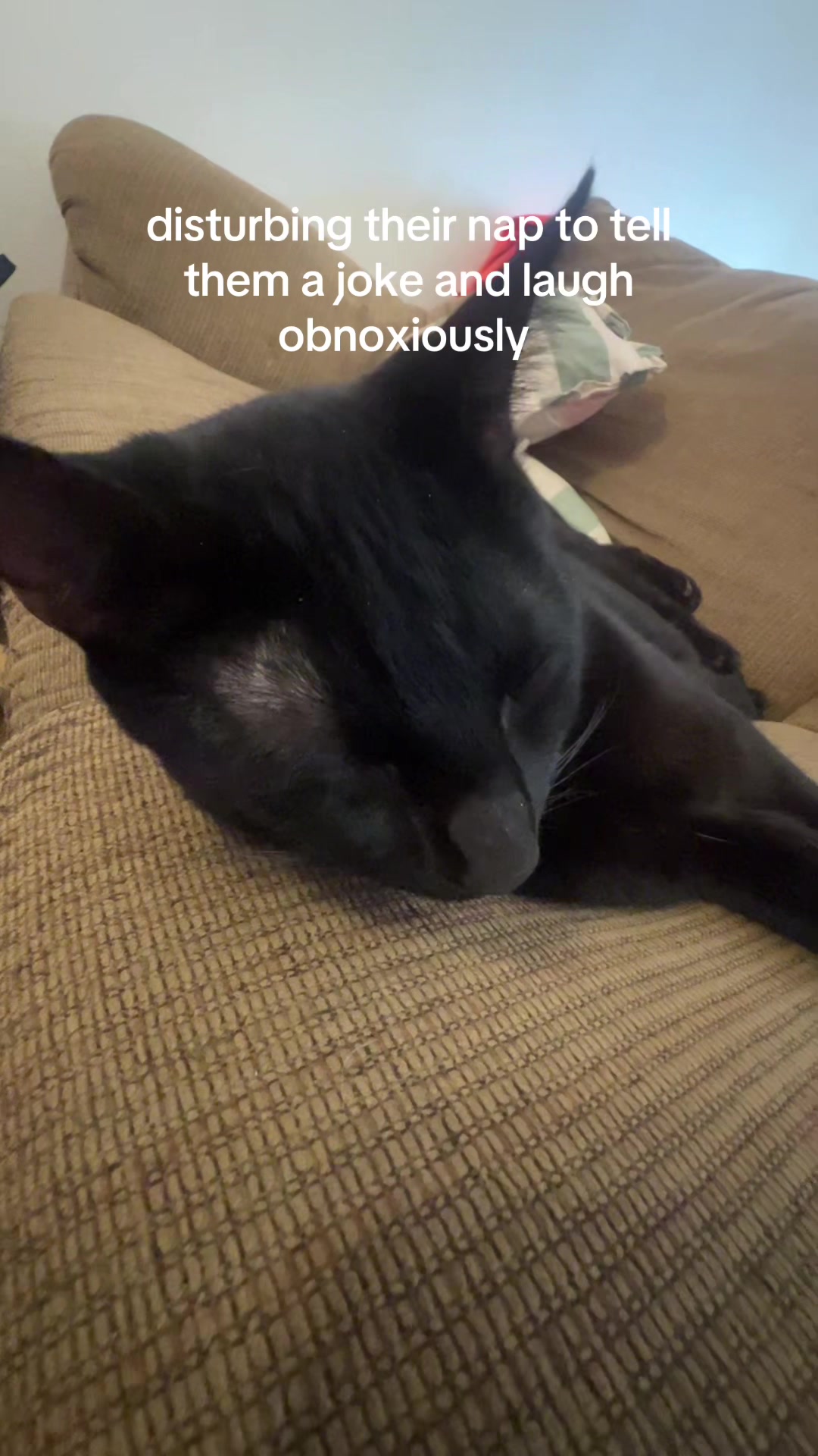 @un.srslysam