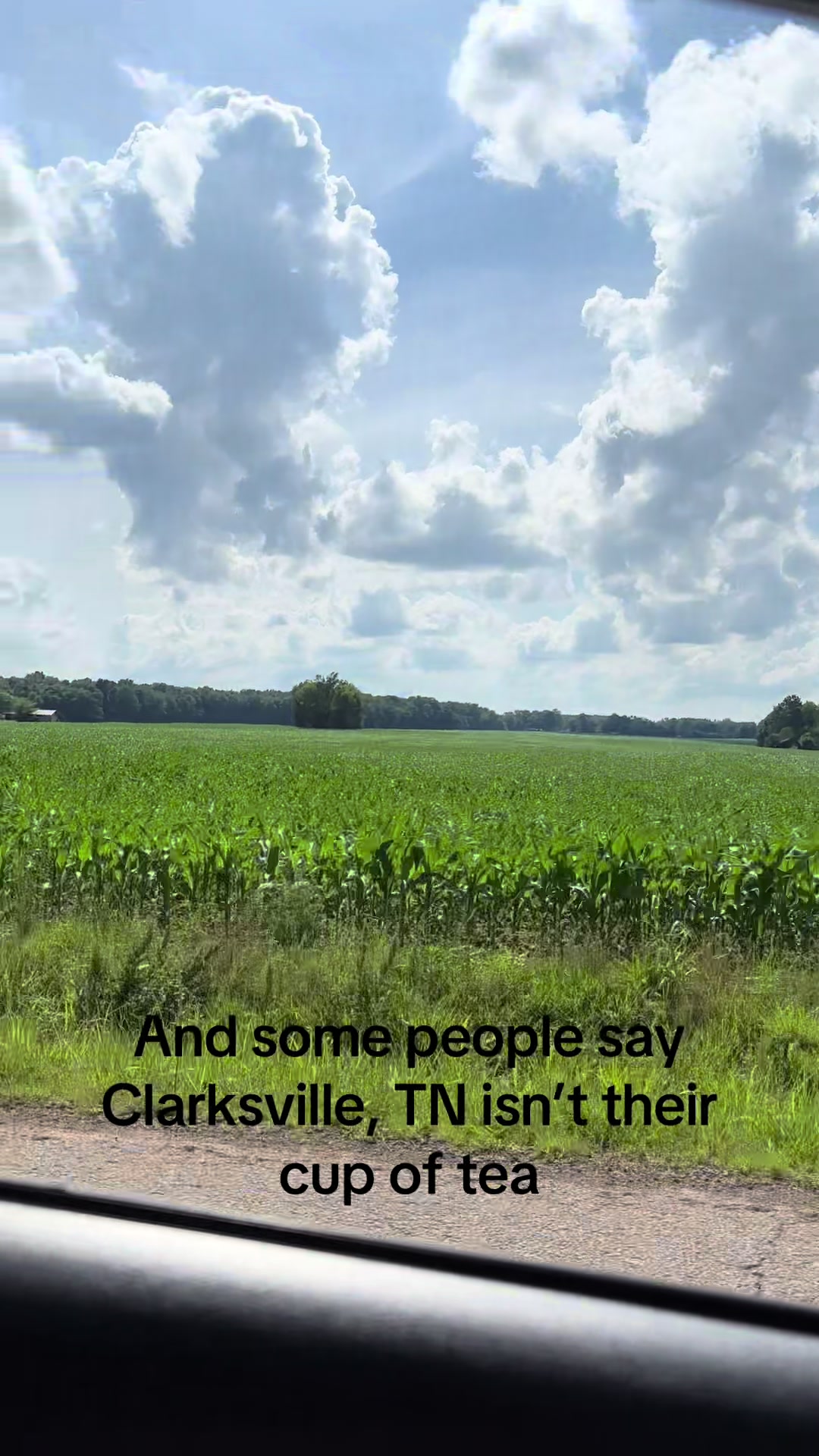 @Zach Paton | TN REALTOR