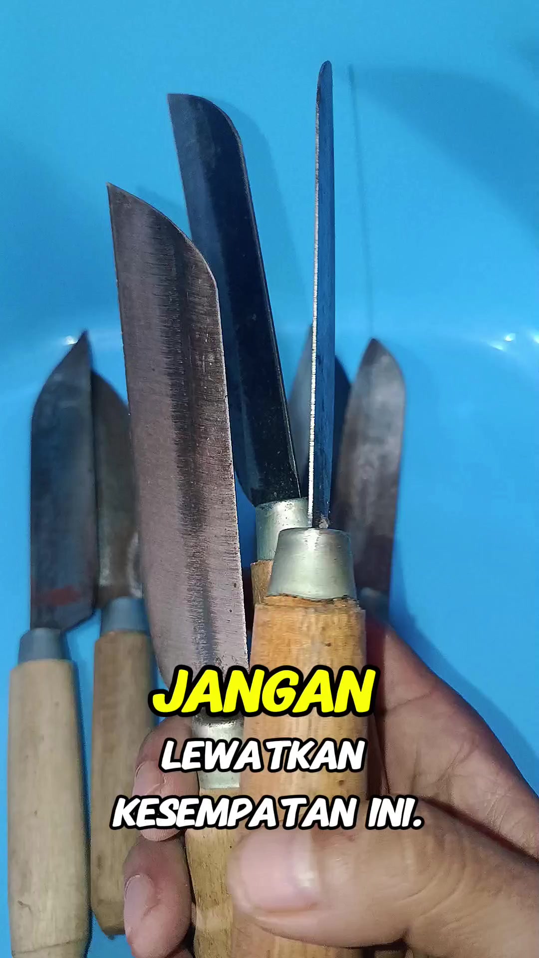 @warehtiktok