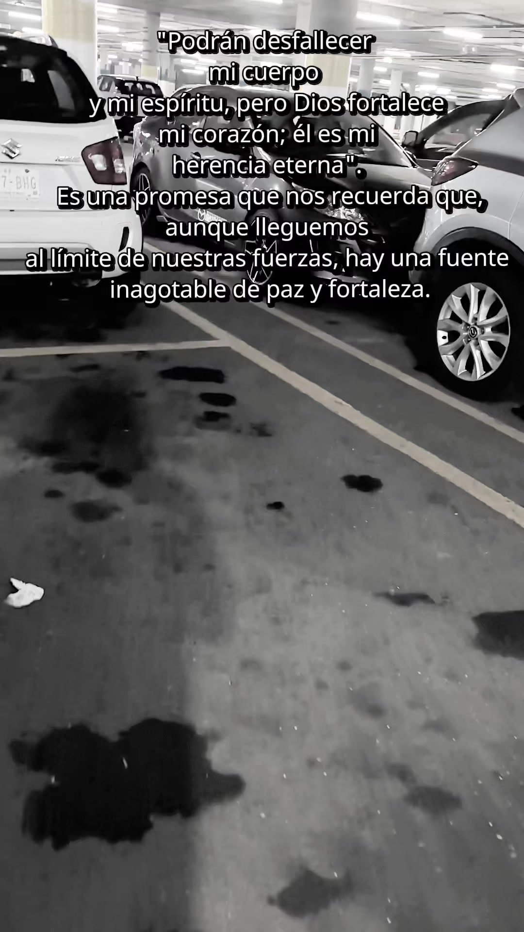 @Ivan Cuevas Martínez