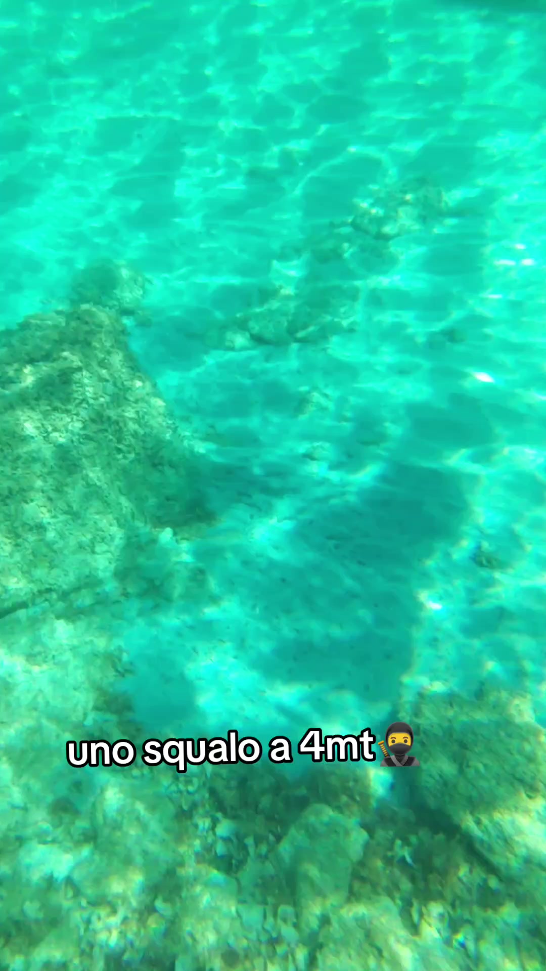 @💣🔥🔥Toton7secondi 🔥🔥💣
