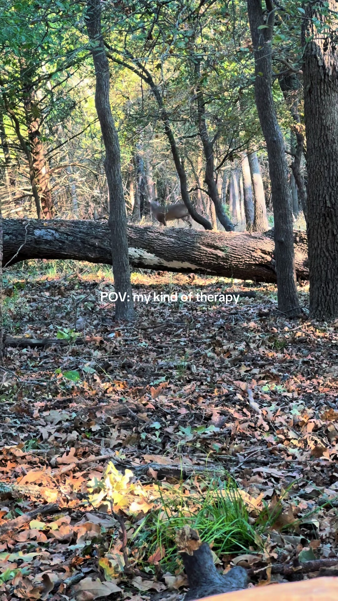 @publicland.legends