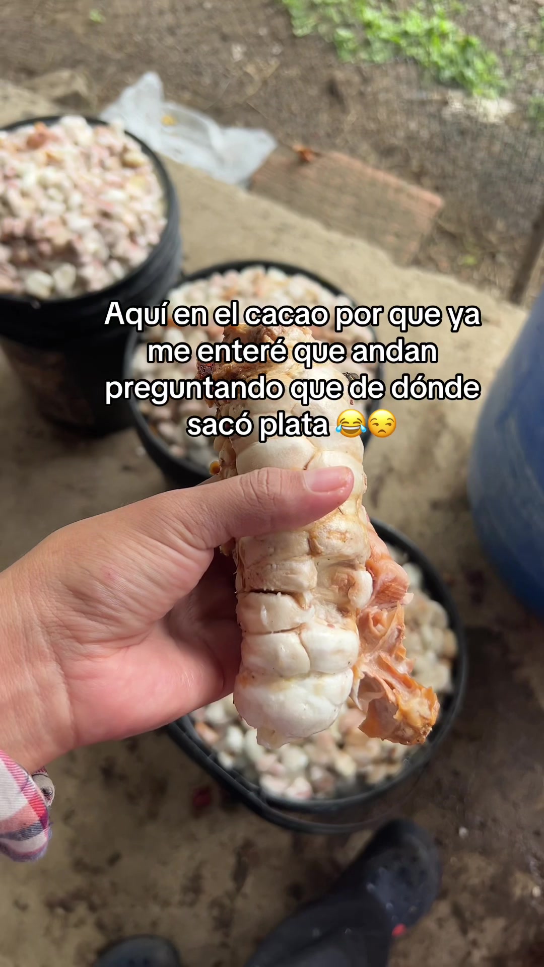 @Jennifer