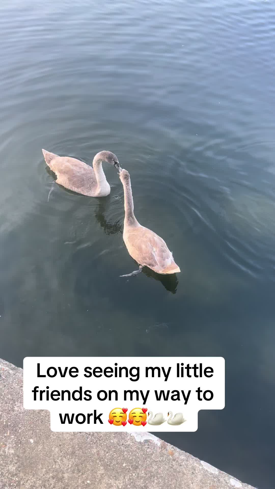 @Nat.H 🦄