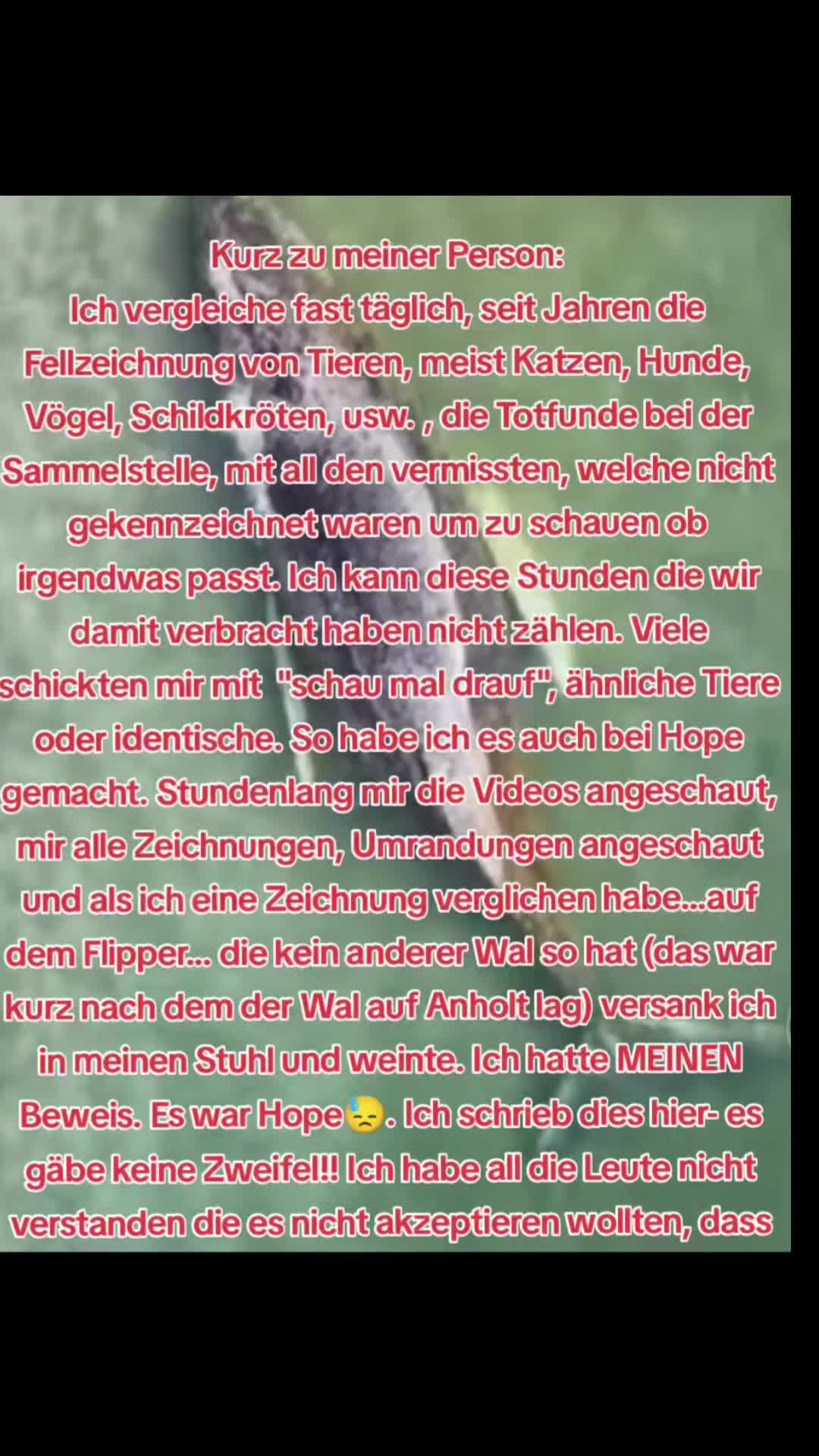 @💚Nadi💚🐋🙏🏼