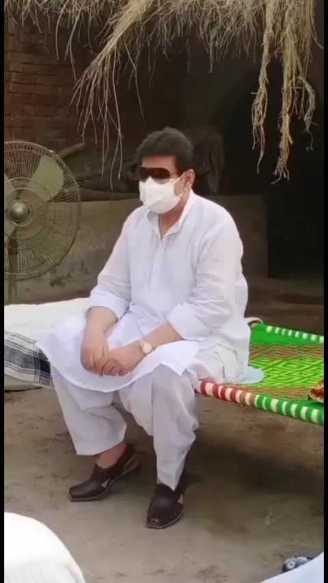 @مخدوم سید فیصل صالح حیات