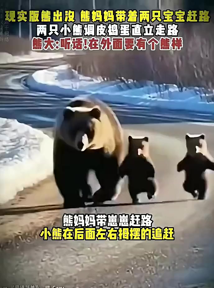 @晃晃悠悠