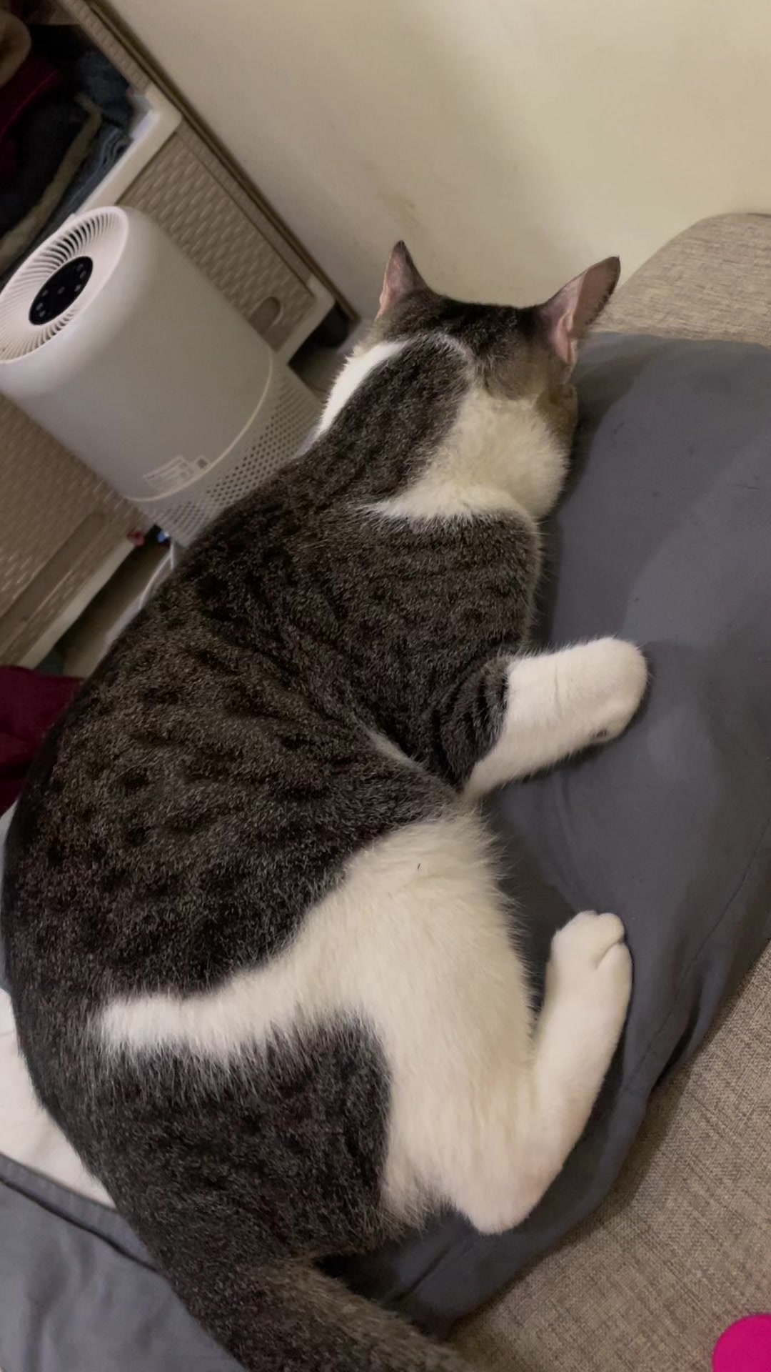 @three_muscateers