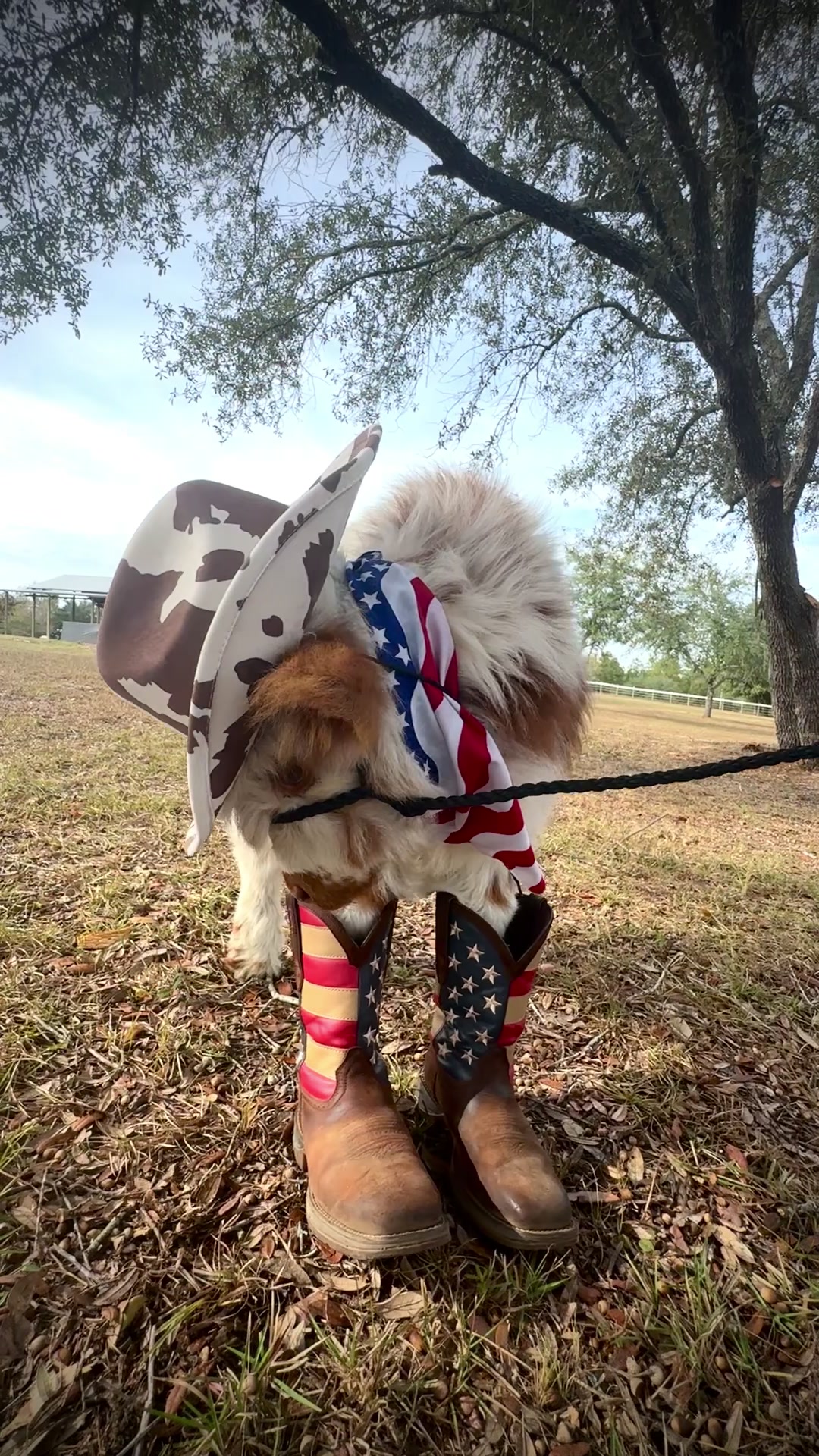 @WildernessRanch