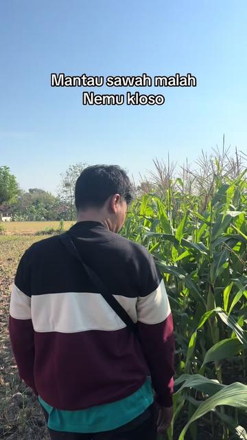 @Mas Moko Bossmie
