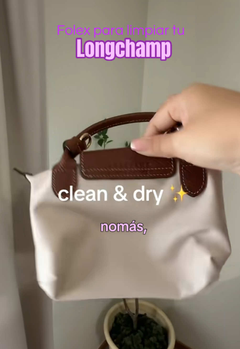 @CAROLINA | LATINA CREATOR