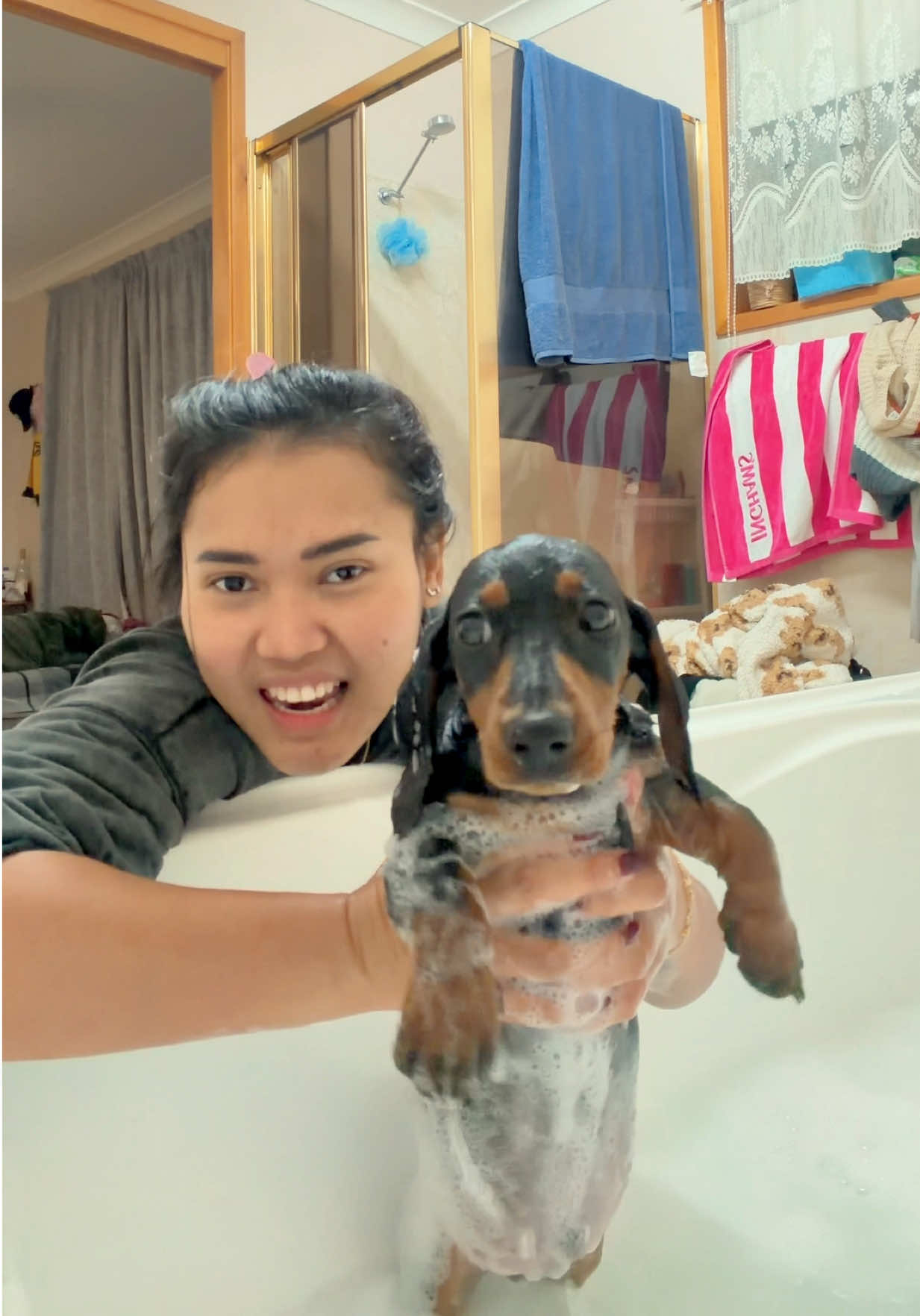 @Nonativespeaker/Babe's mom🐾