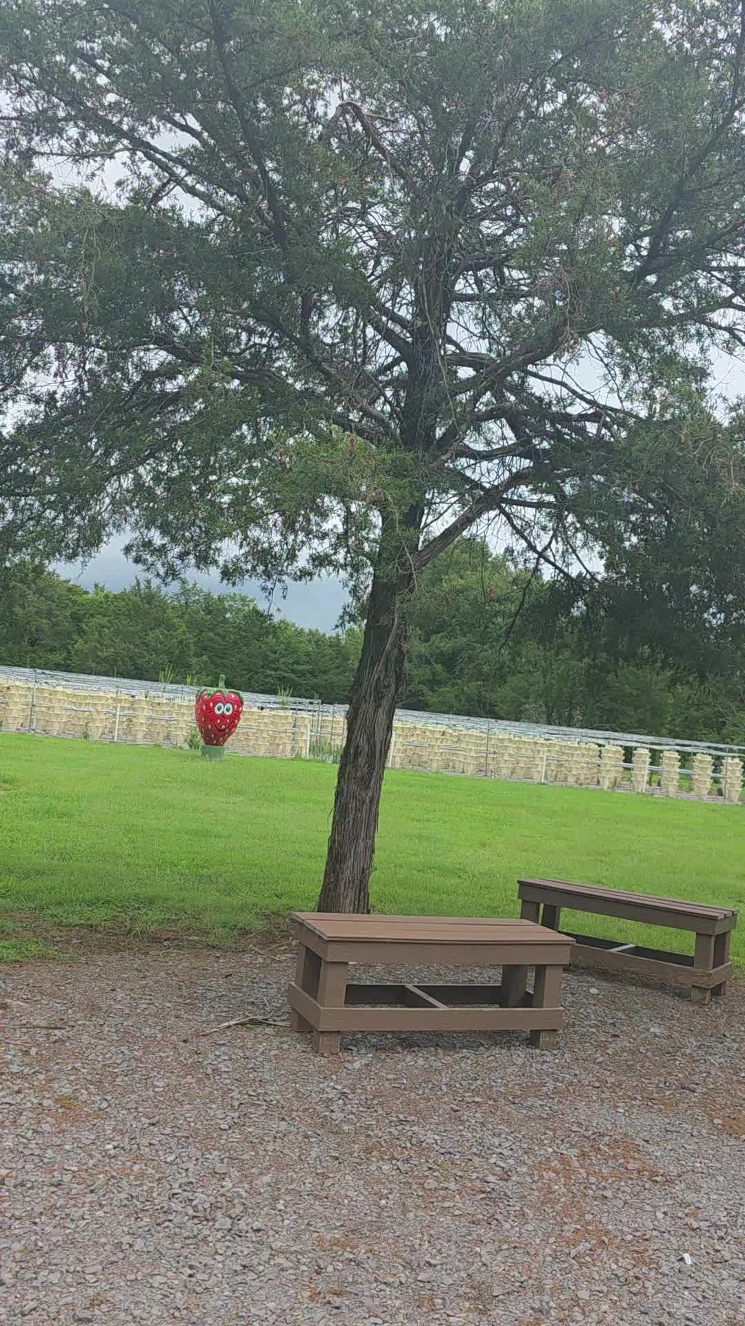 @Ariana Ester