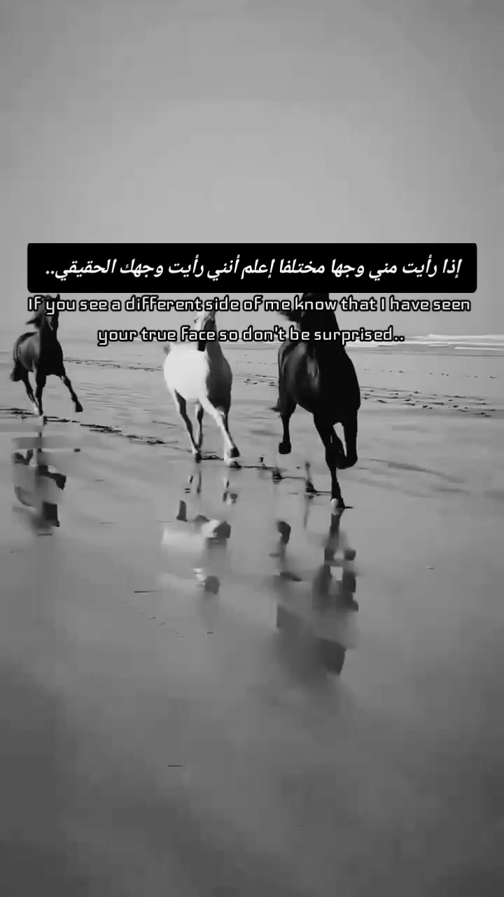 @ᥫSagittarius➴᭓