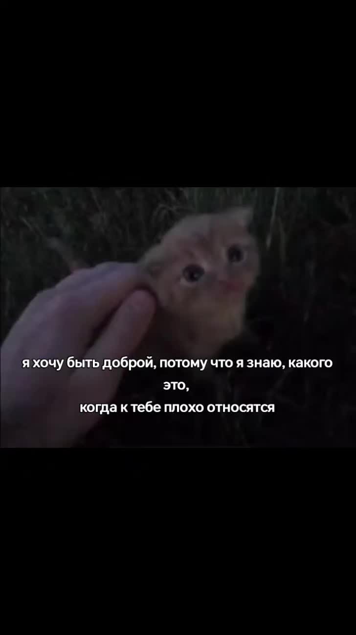 @лупикал