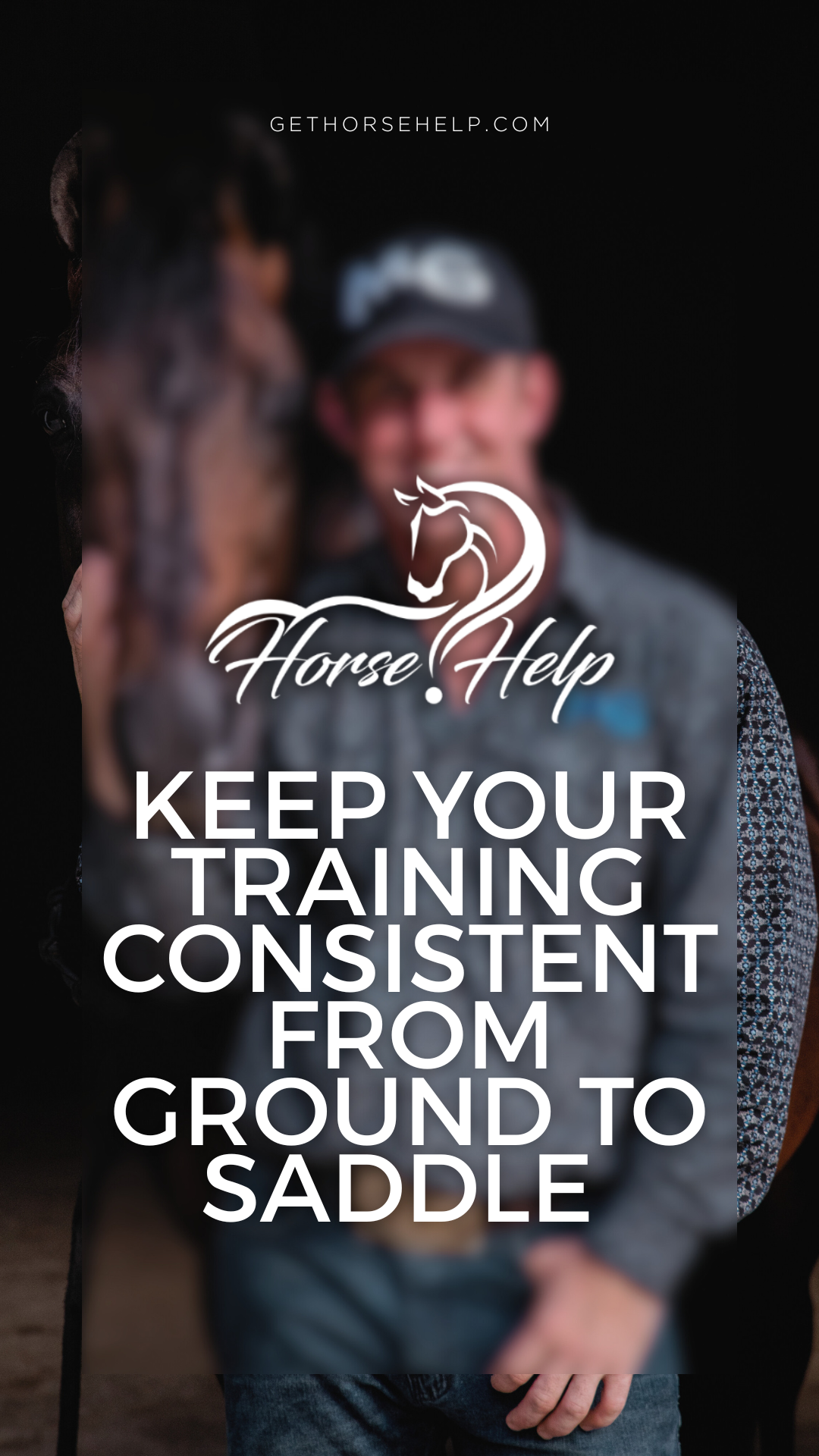 @Horse Help