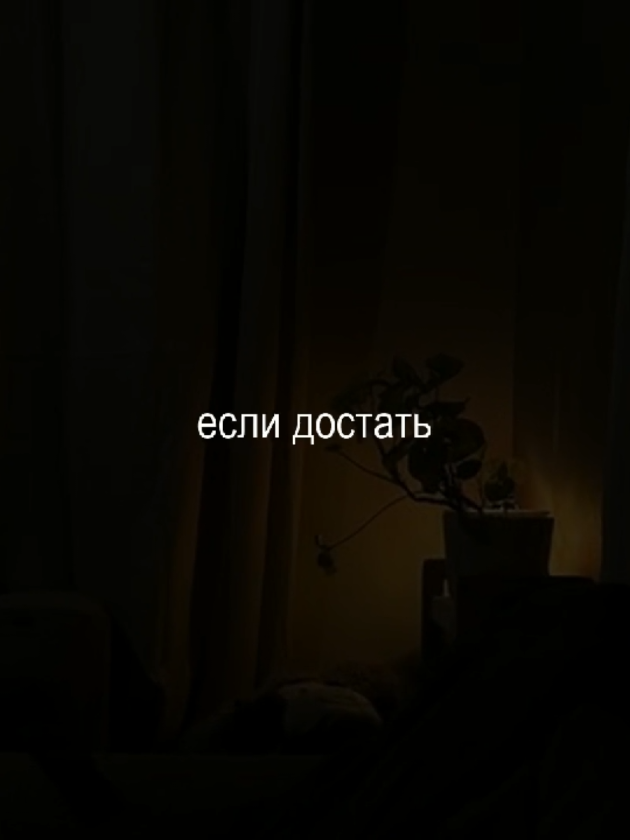 @musicfuz