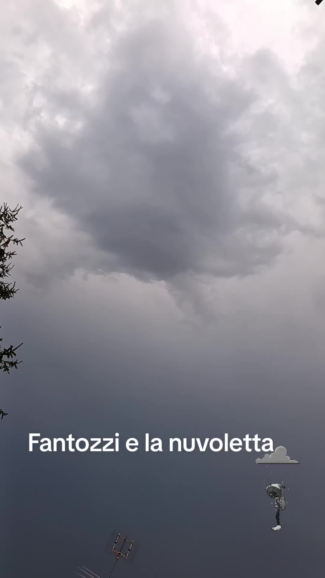@silvana ferello
