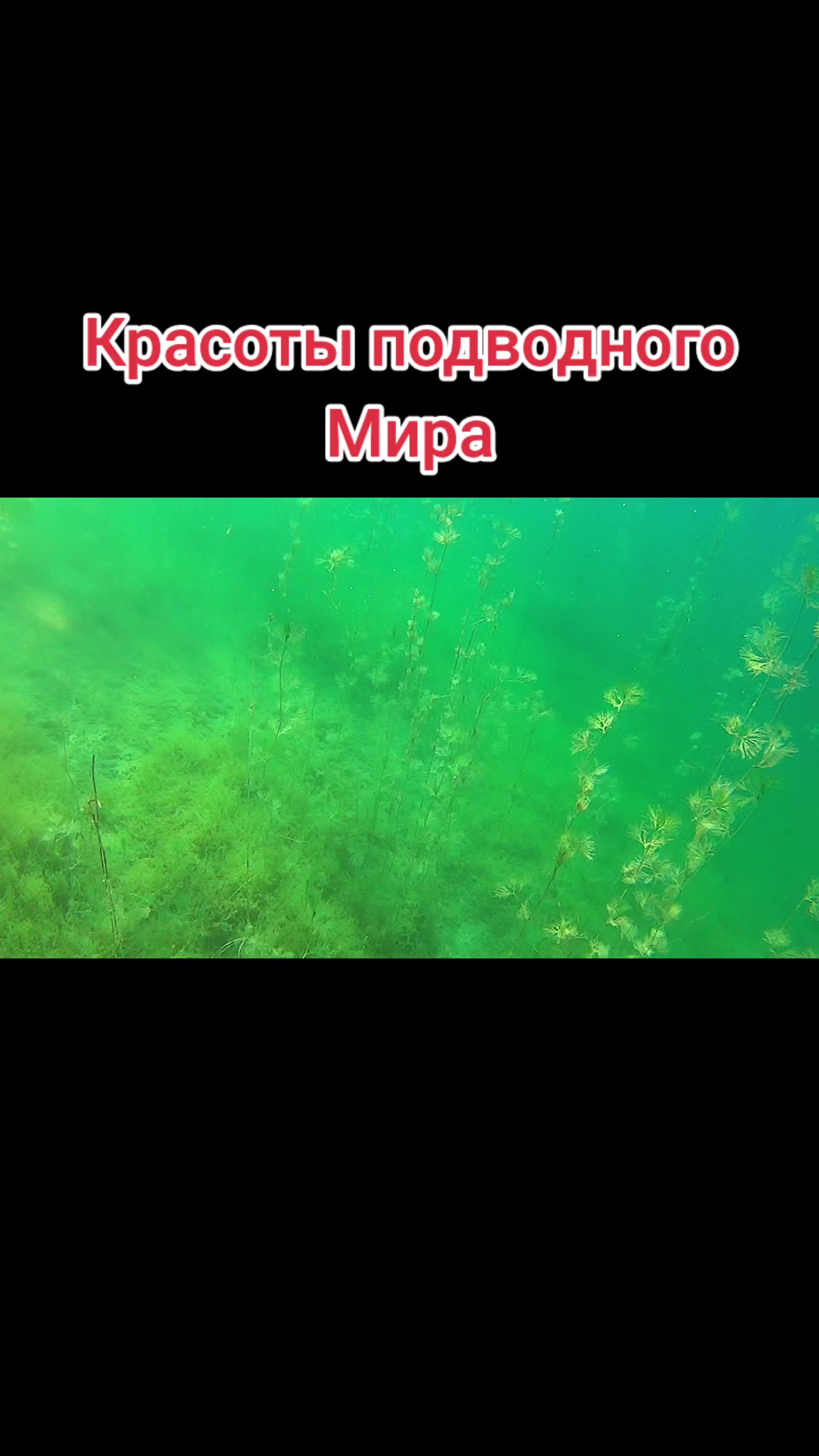 @Danila Master