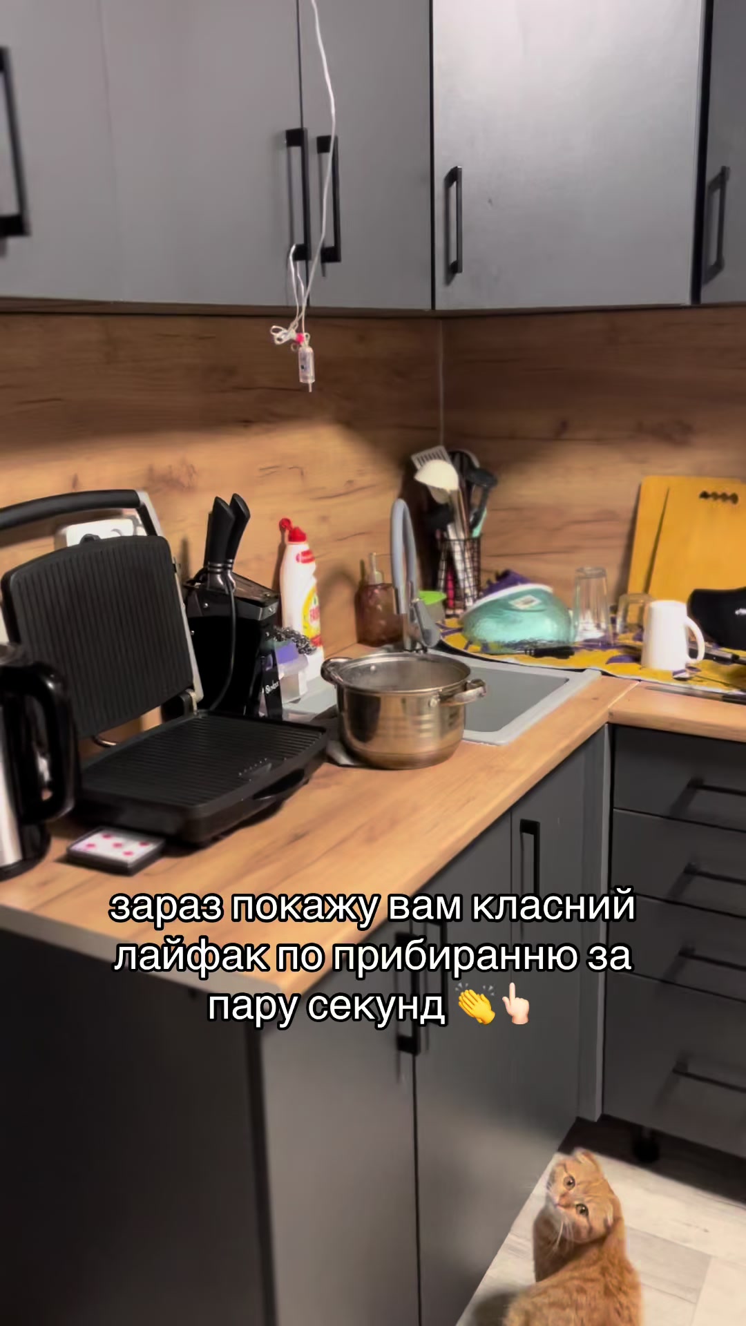 @Дашунчик🫶🏻