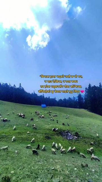 @सम्झनाका पल हरु !❣️