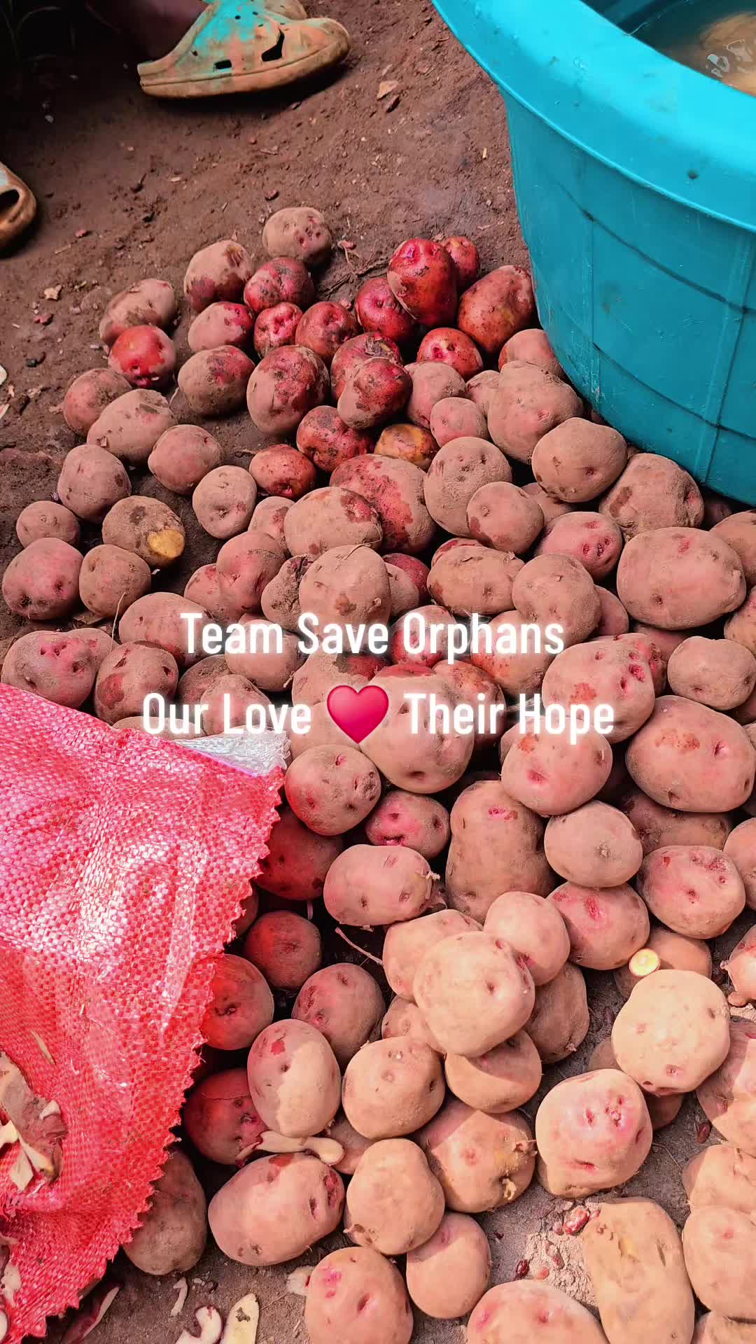 @TEAM SAVE ORPHANS