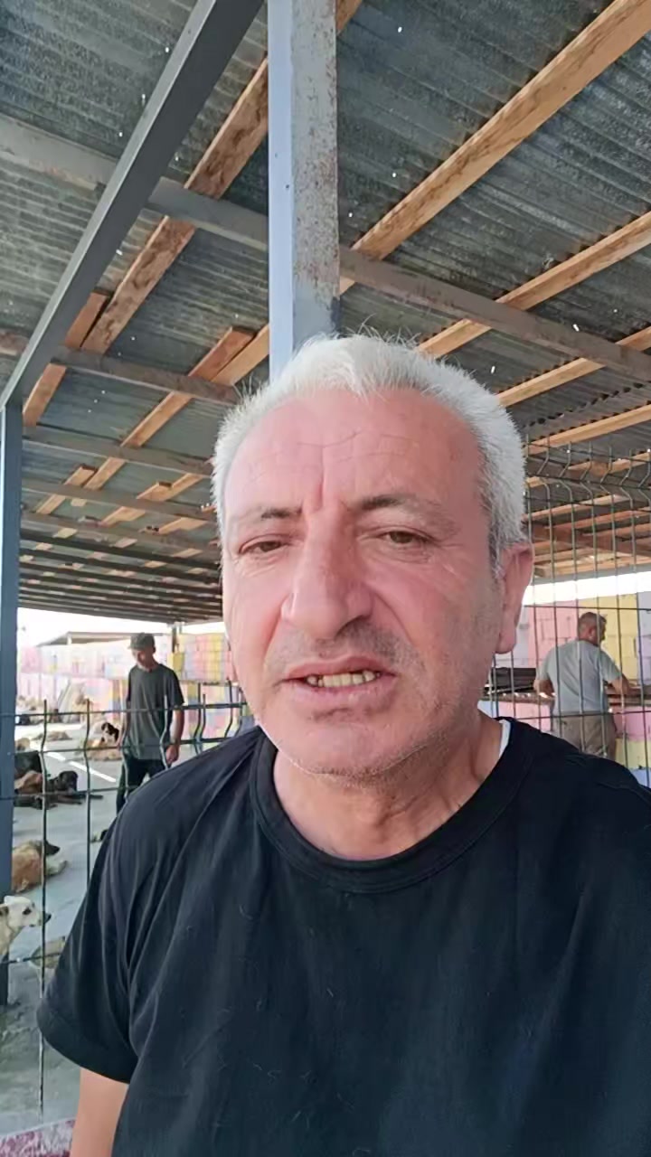 @Sahibsiz heyvanlara dəstək