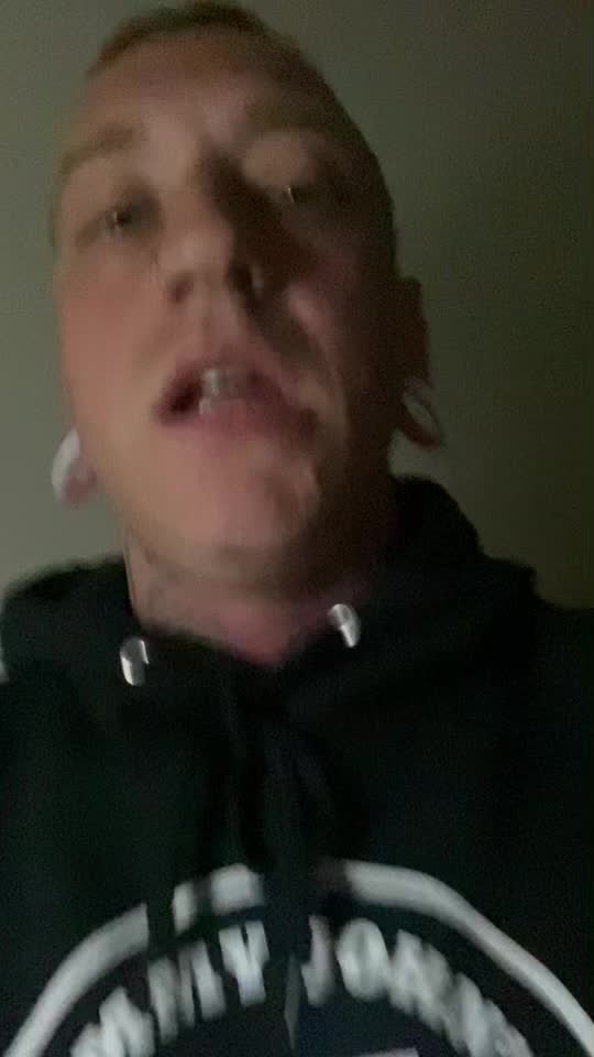 @Hunde_Where