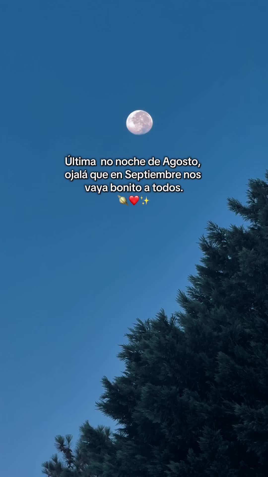 @↳。˚ 🖇️Ɗᵅṿ𝖎ⓓ♡┊🫀🇬🇹🎵
