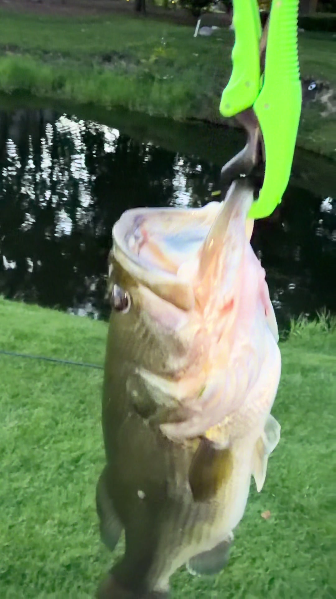 @JoseFishing