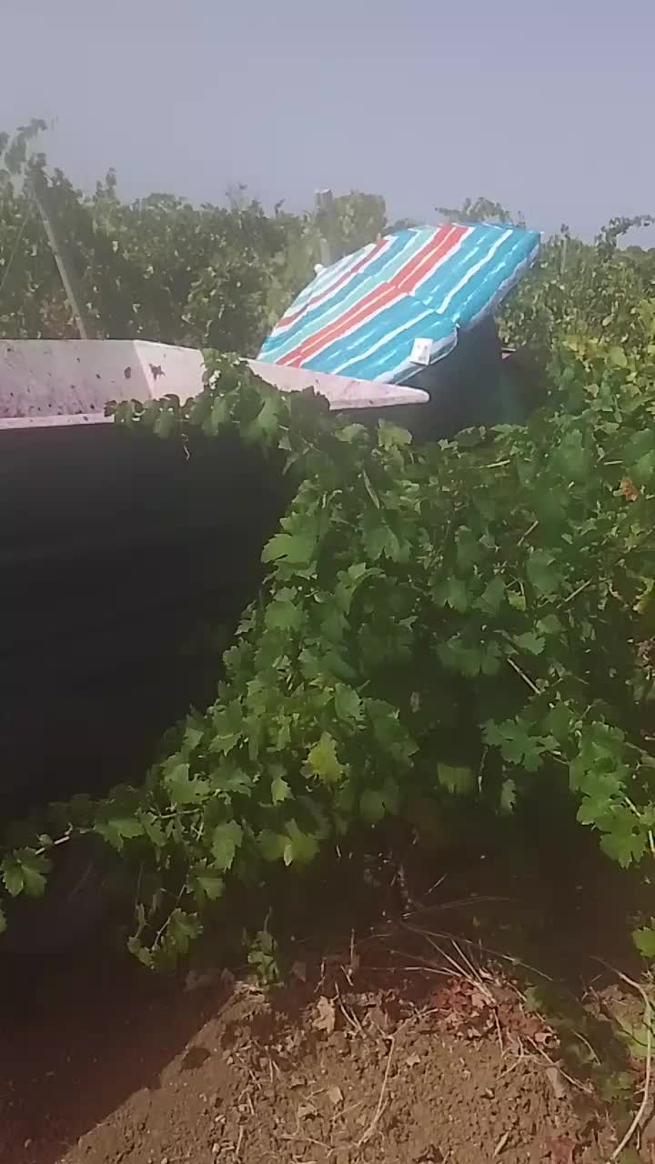 @Massimovita Pompigna