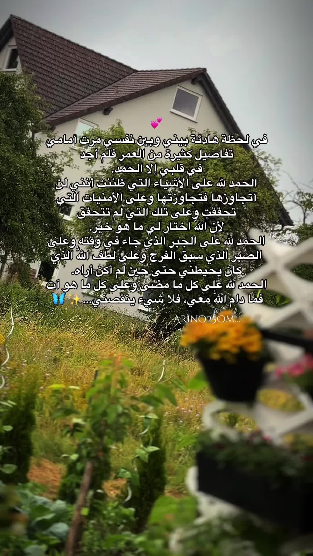 @Ar&icirc;no25Om
