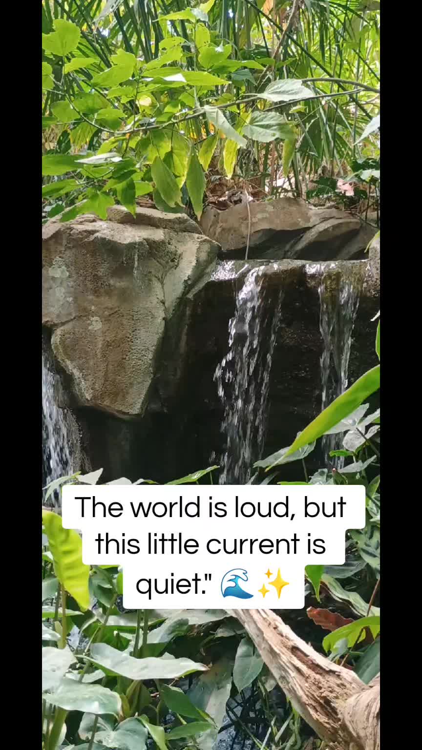 @Melanie617โ