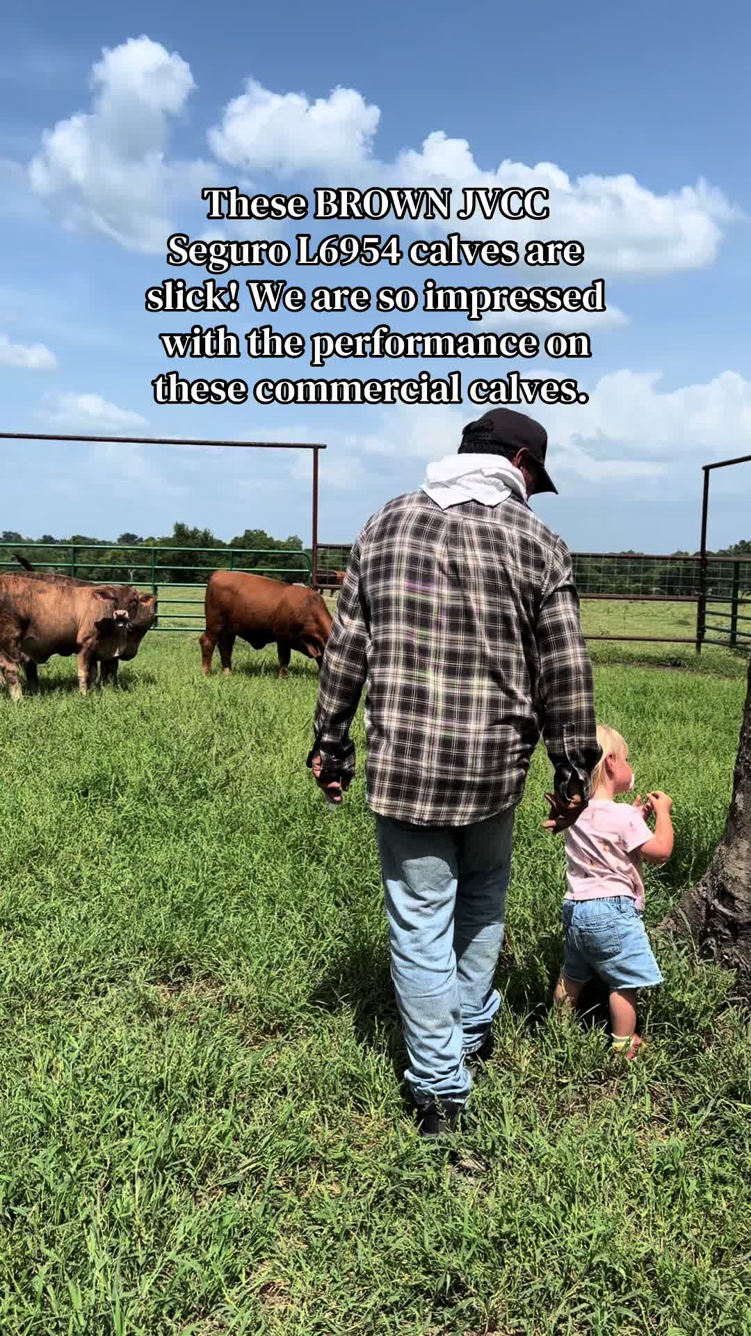 @Greenwood Stock Farms