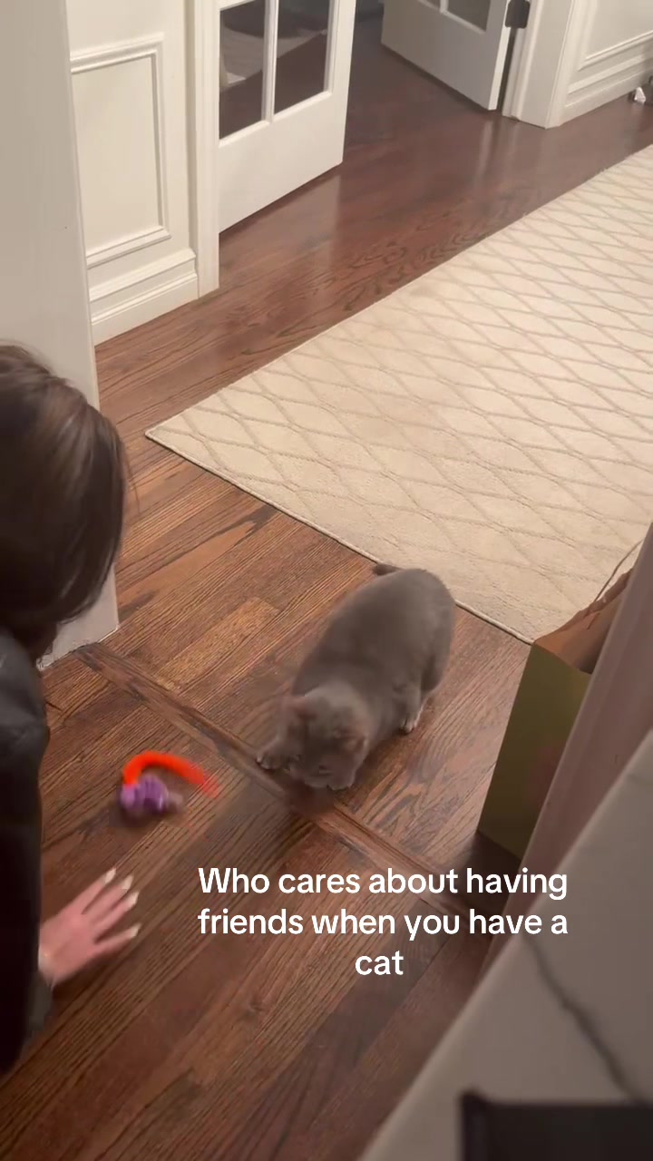 @Samantha