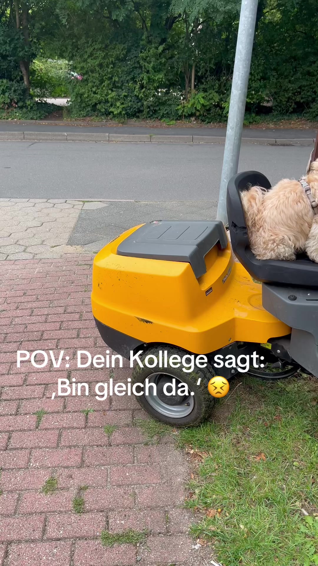 @DogMilow
