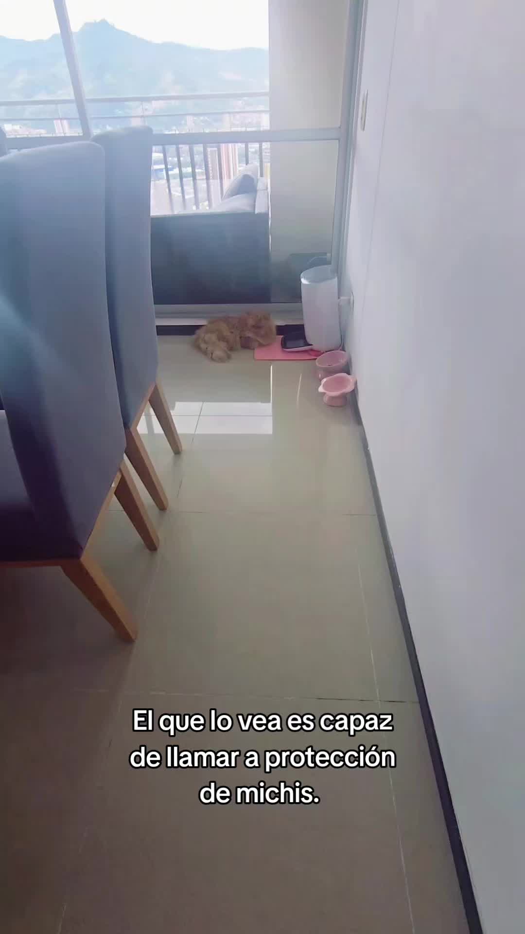 @Luna