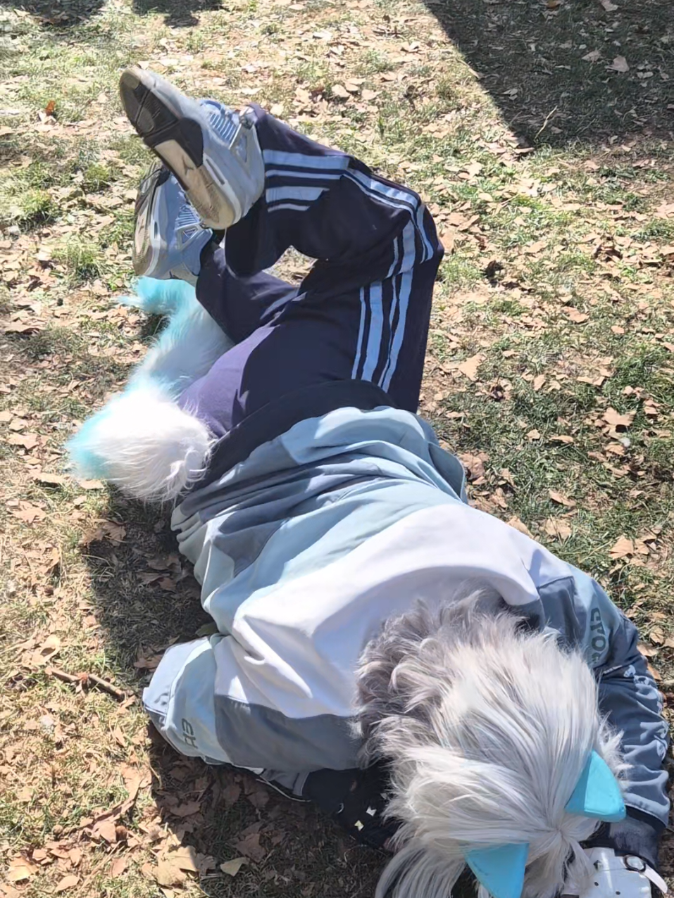 @Aaronbao9