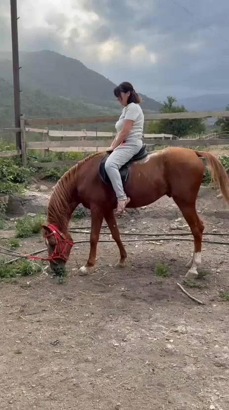 @Cefer_Qarabağlı