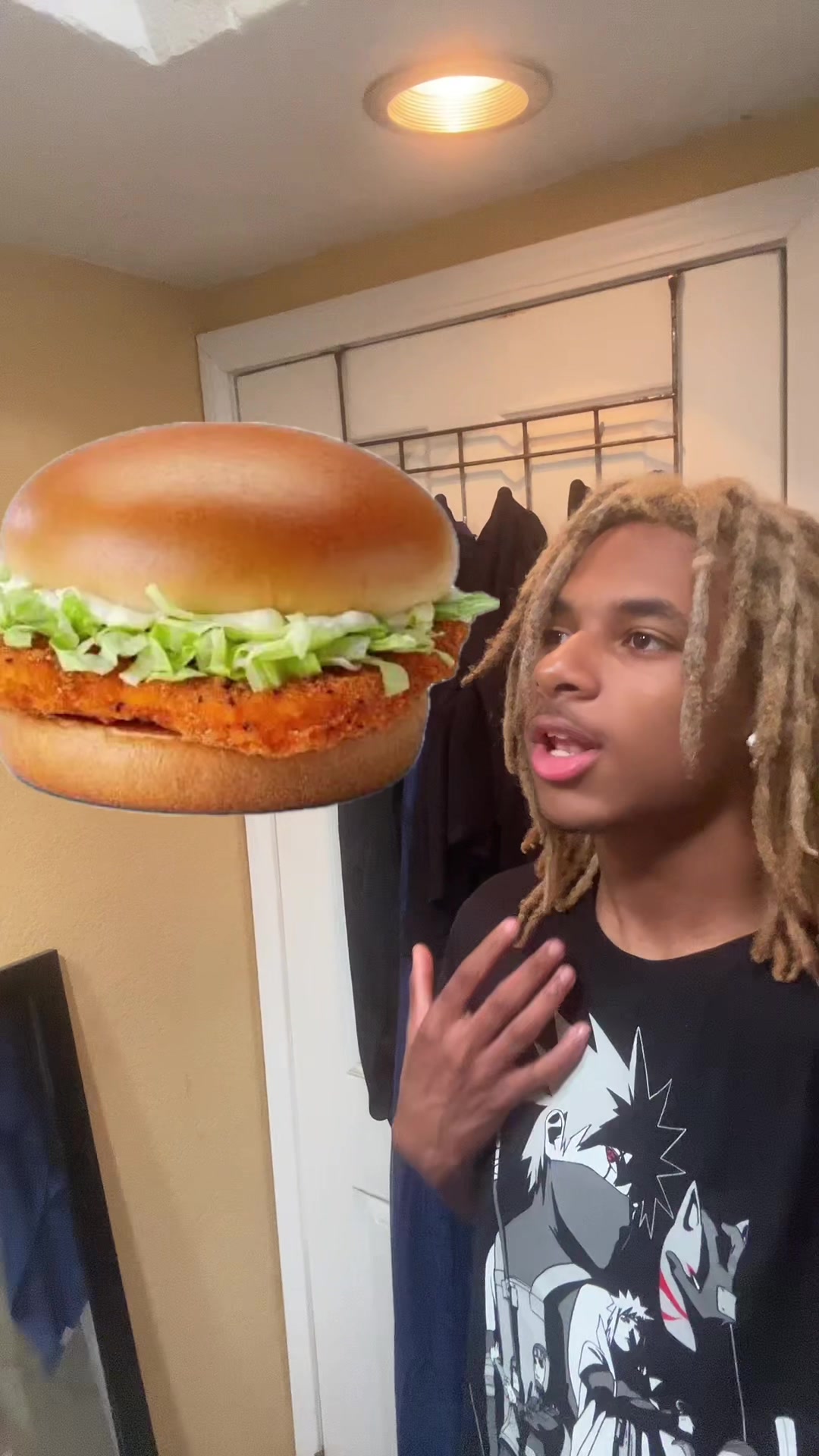 @ohbabyilovemcchickens
