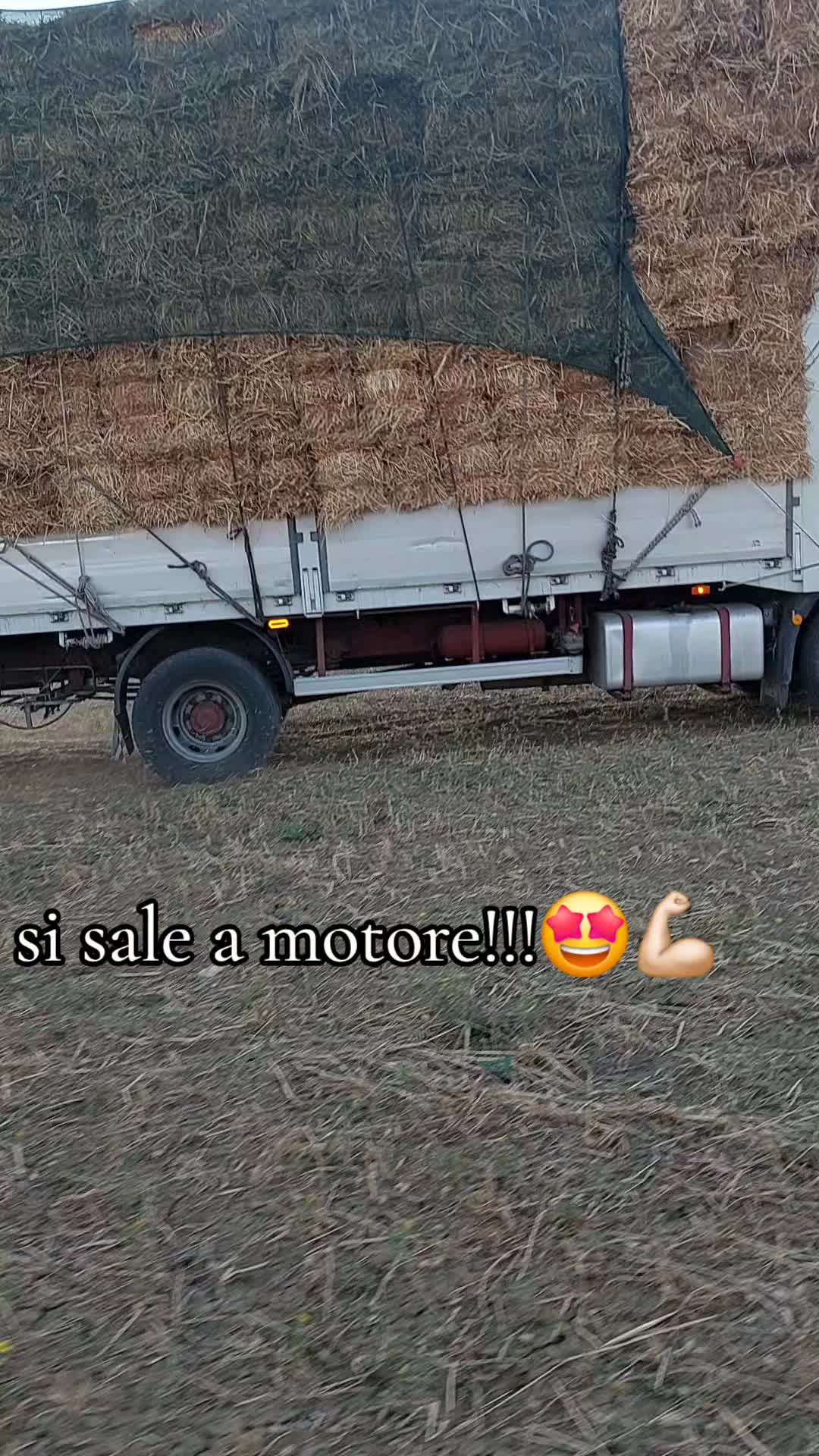 @laureato82