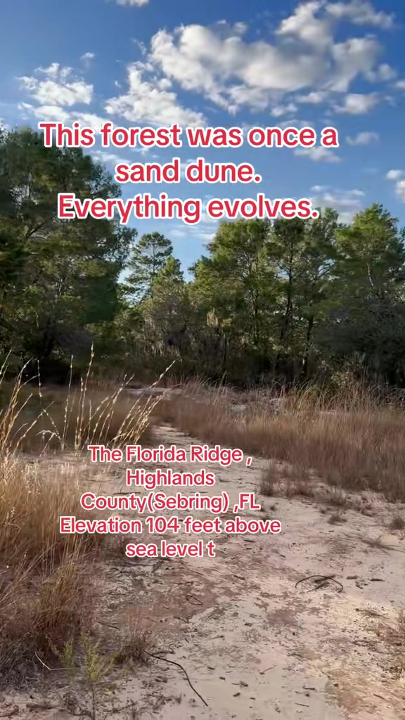 @Florida Land Guy