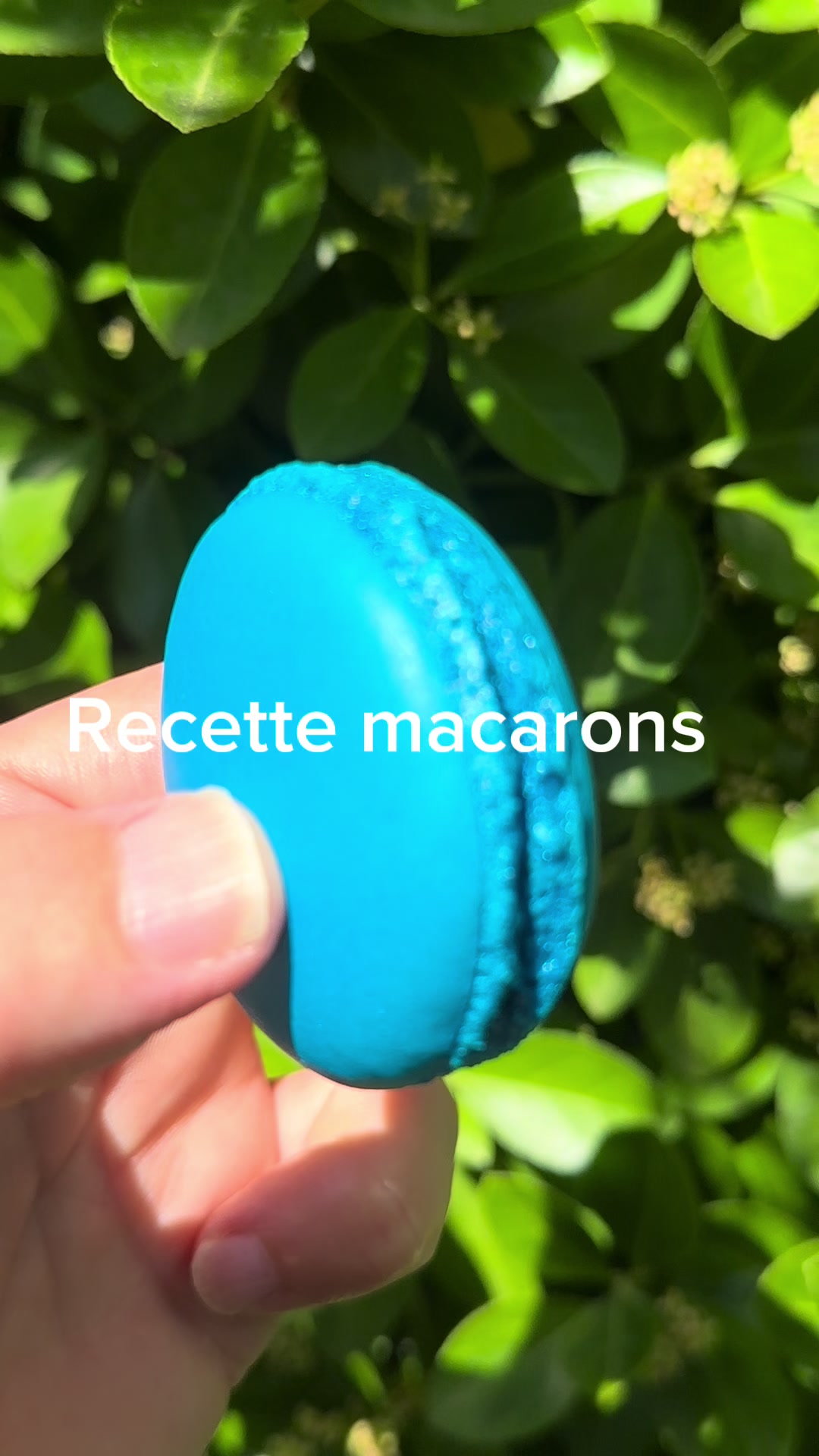 @lapatisserienantaise