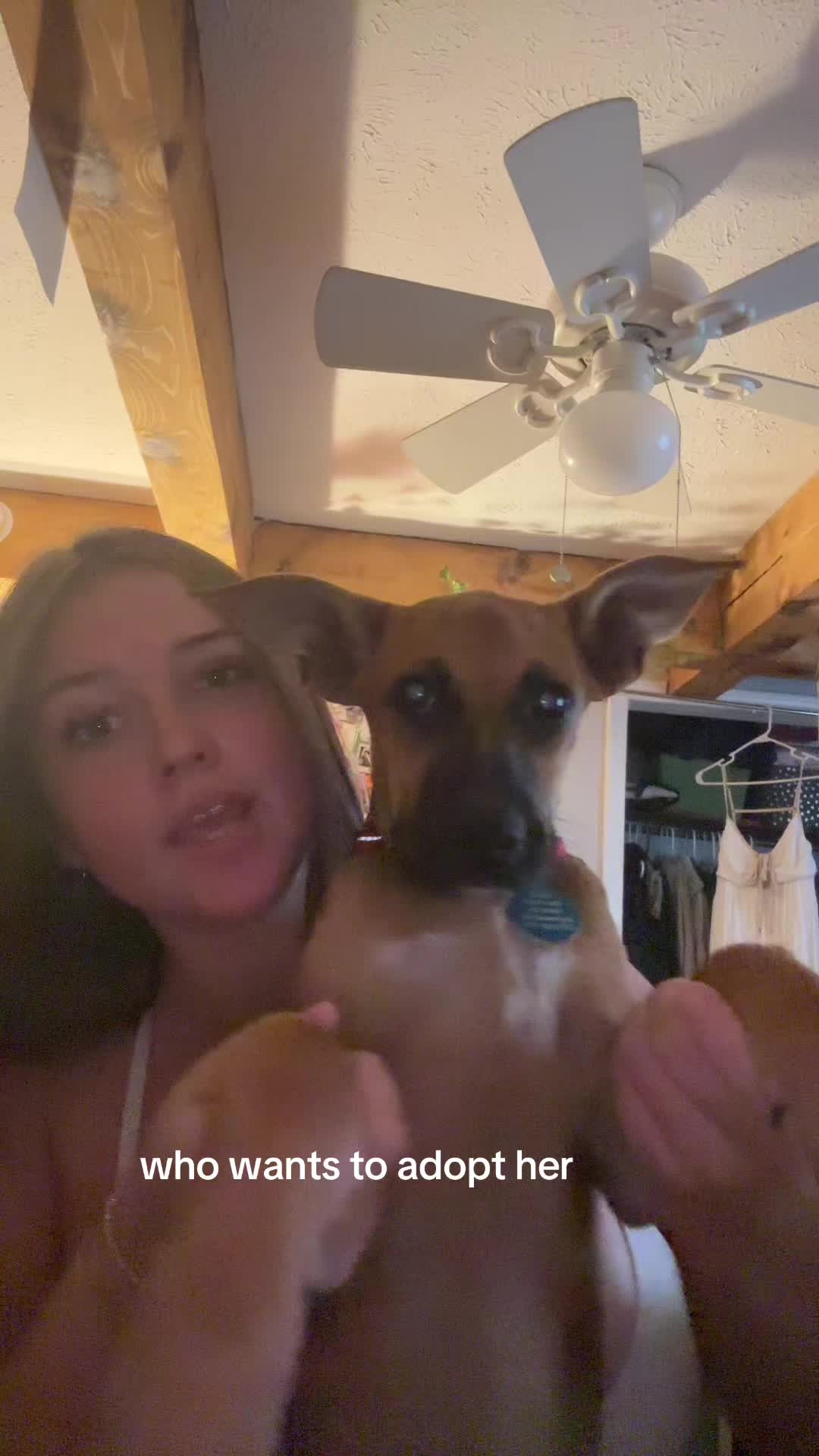 @frankie