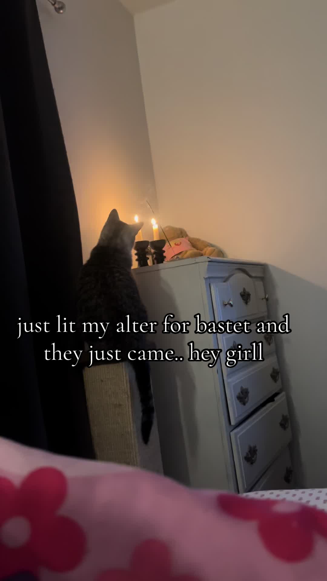 @jade 🦇
