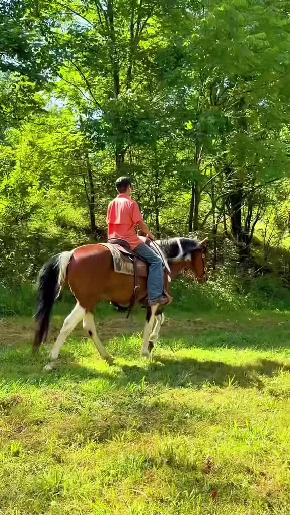 @Lucky D Ranch 🍀