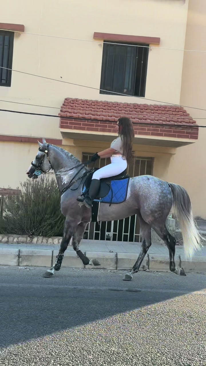 @لــيــن🐎