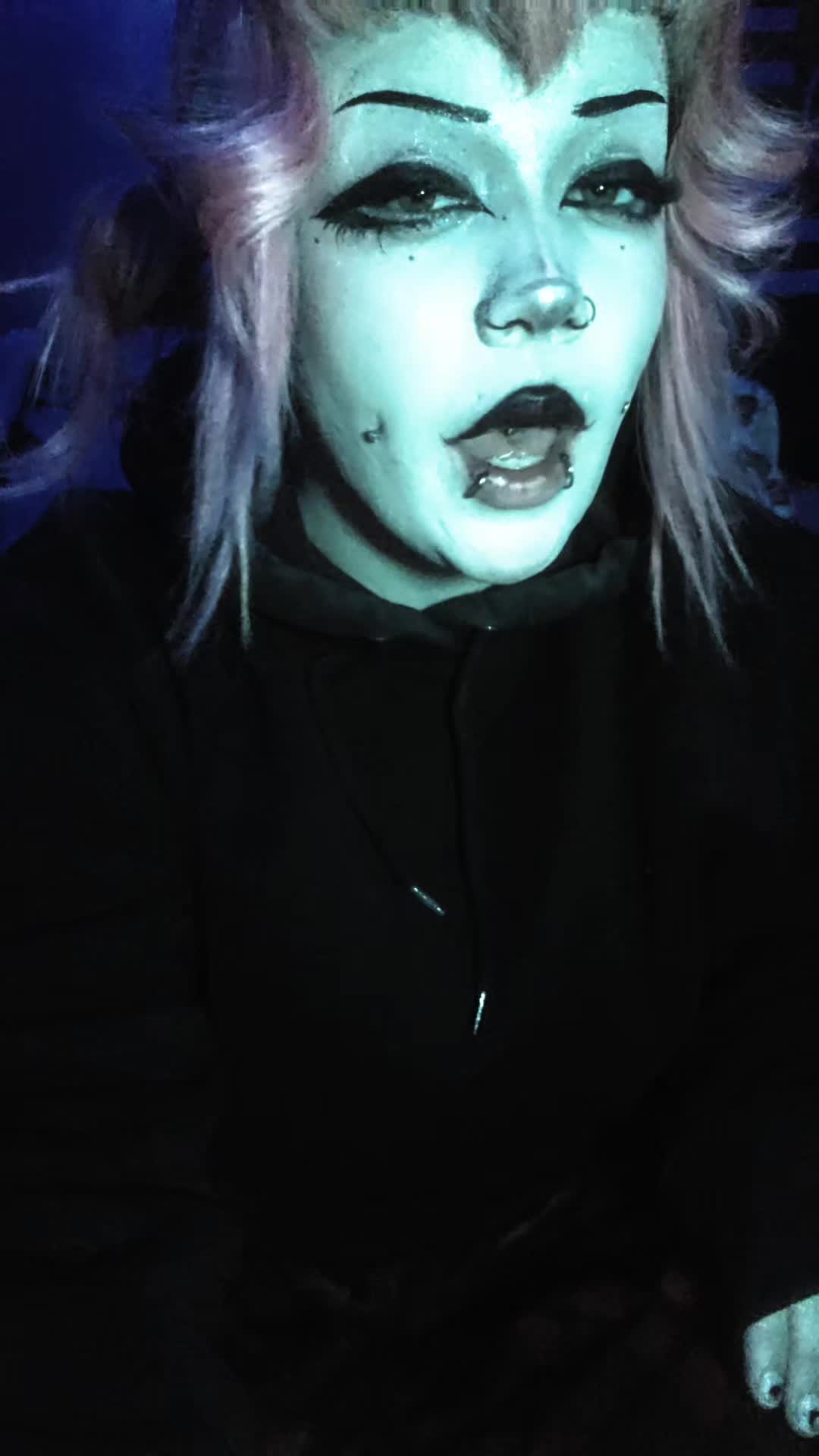 @bunniitheclownpup