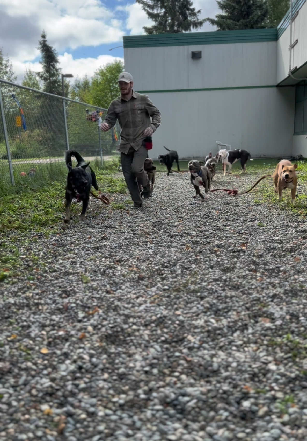 @Anchorage Animal Care Control
